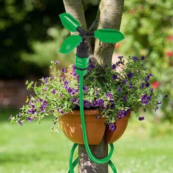 Clearance | Positive Health