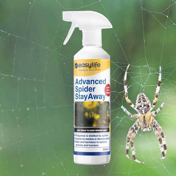 Easylife Spider Stayaway, Size Pack Of 3